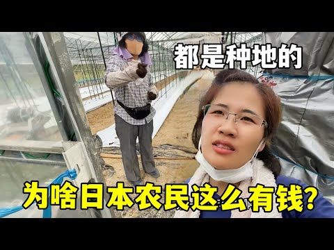 花样滑冰世,锦赛,双人滑赛事,JiangNan,江南,江南体育入口,江南官网,江南体育APP下载