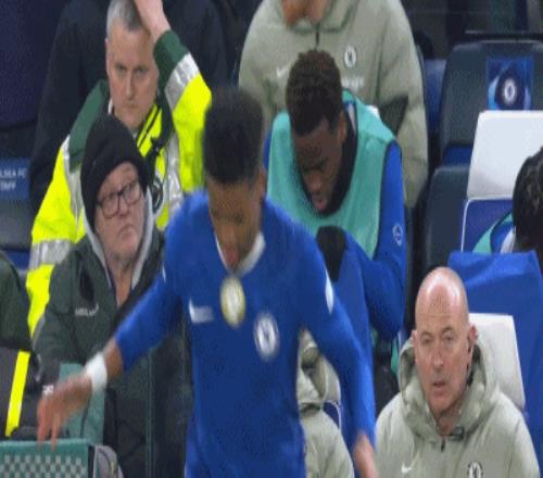 芬尼史密斯,加盟助阵,佩林卡再施,JiangNan,江南,江南体育入口,江南官网,江南体育APP下载