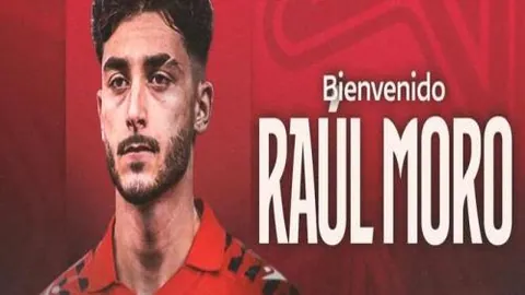 穆勒簡介：詳盡個人情報