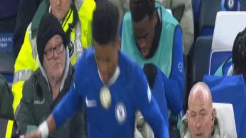 “芬尼史密斯加盟助阵，佩林卡再施神奇引援策略？”