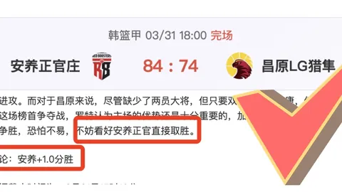 德布劳内助卢卡库制胜：进球源自关键配合